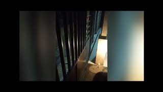 Main Kembang Api....