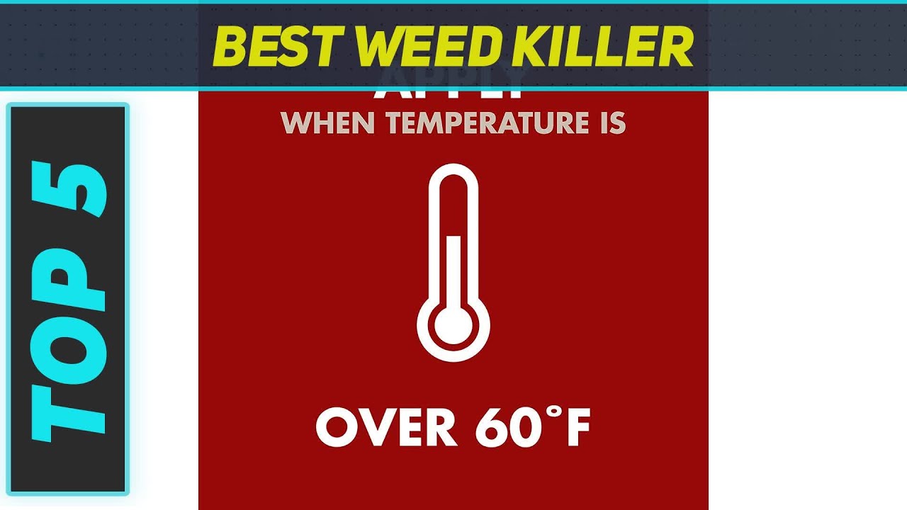 5 Best Weed Killer in 2023
