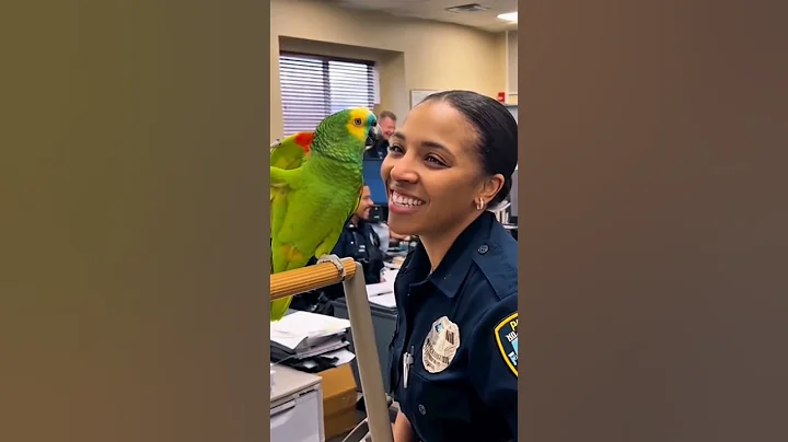Parrot Becomes a Police Officer 😂🦜👮‍♀️ #youtubeshorts