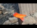 amazing blacksmith viral videos in China #sawblade #welding #blacksmokeyeye #automobile #viralclips
