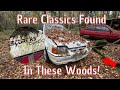 We Found Some Super Rare Cars Abandoned In These Woods!!