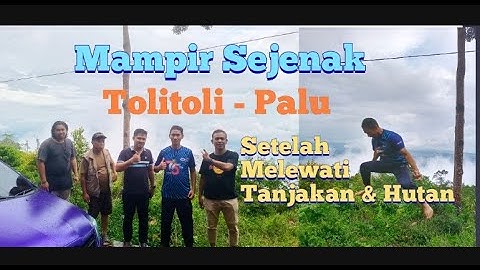 Perjalanan Dari Toli Toli ke Palu Melawati Hutan dan Tanjakan