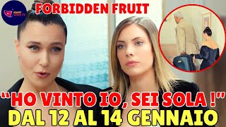 Download Lagu FORBIDDEN FRUIT 12-14 GENNAIO: ENDER SCOPRE DEL DIVORZIO E UMILIA YLDIZ , HALIT VA DA ERIM MA... MP3