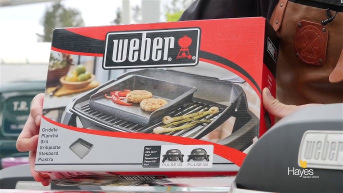 Weber Pulse 2000 Electric Outdoor Grill with Cart Black 85012001 - Best Buy