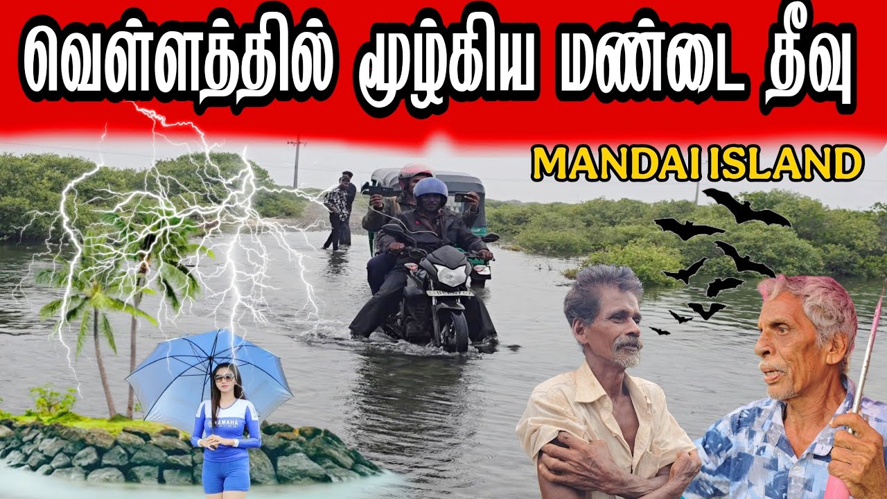 வெள்ளத்தில் மூழ்கிய யாழ்பாணம் மண்டை தீவு |  Jaffna Mandai Island submerged in flood | JAFFNA DILAX