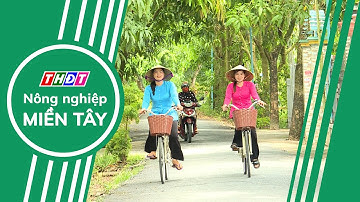 Huyện Cao Lãnh có 2 xã đạt chuẩn nông thôn mới kiểu mẫu | Nông nghiệp Miền Tây