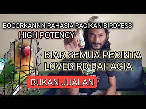 اكشف سر مزيج بيرديس عالي الفعالية