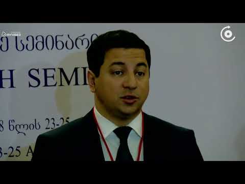 ნატო ს საპარლამენტო ასამბლეის სემინარზე საქართველოში განხორციელებულ რეფორმებზე მსჯელობენ