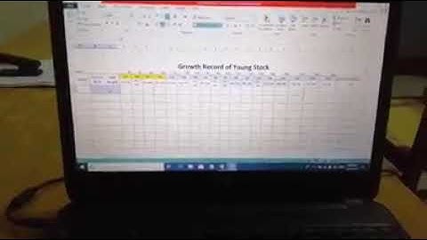 Record keeping of Animals excel file