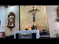 Santa Missa Vespertina - 22° Domingo do Tempo comum.