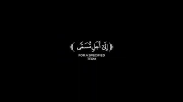ذلك ومن يعظم شعائر الله _ كرومات قرآن ماهر المعيقلي شاشة سوداء سورة الحج