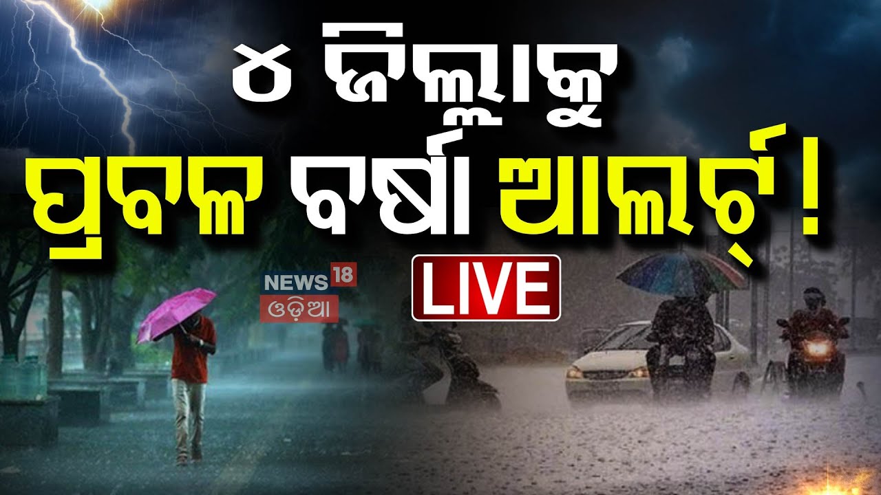 Live: ୪ ଜିଲ୍ଲାକୁ ୟେଲୋ ଆଲର୍ଟ ! | Low Pressure Active In Bay Of Bengal | Weather Update