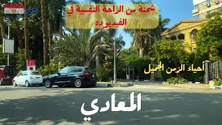 المعادي|رقي وجمال ملوش مثال|حي عريق فى القاهرهwalking in cairo|Egyptian| streets