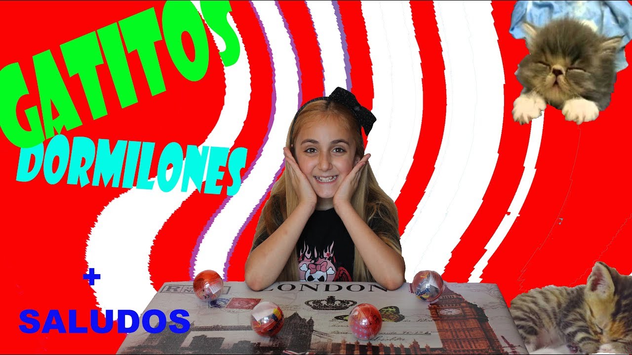 gatos feos Gatitos dormilones con su mantita + SALUDOS | Unboxing - Silvia Sánchez