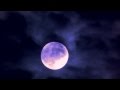 Hunter's Moon