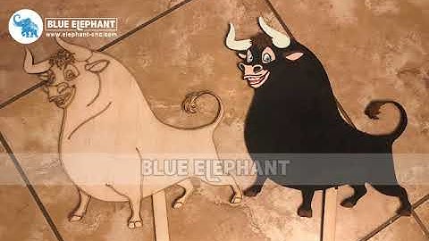 American Customer Took This Vedio By Using Our CO2 Laser Cutting Machine 1390 For Wood Crafts