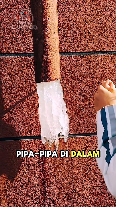 Ternyata Salju Sangat Bah4ya⁉️😱