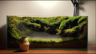 How to make a mist moss forest by 회색벌레 GreyWorm 2,599,026 views 2 years ago 10 minutes, 33 seconds