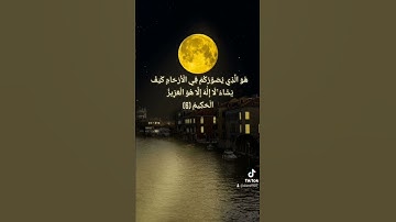تلاوة عطرة للشيخ سعد الغامدي