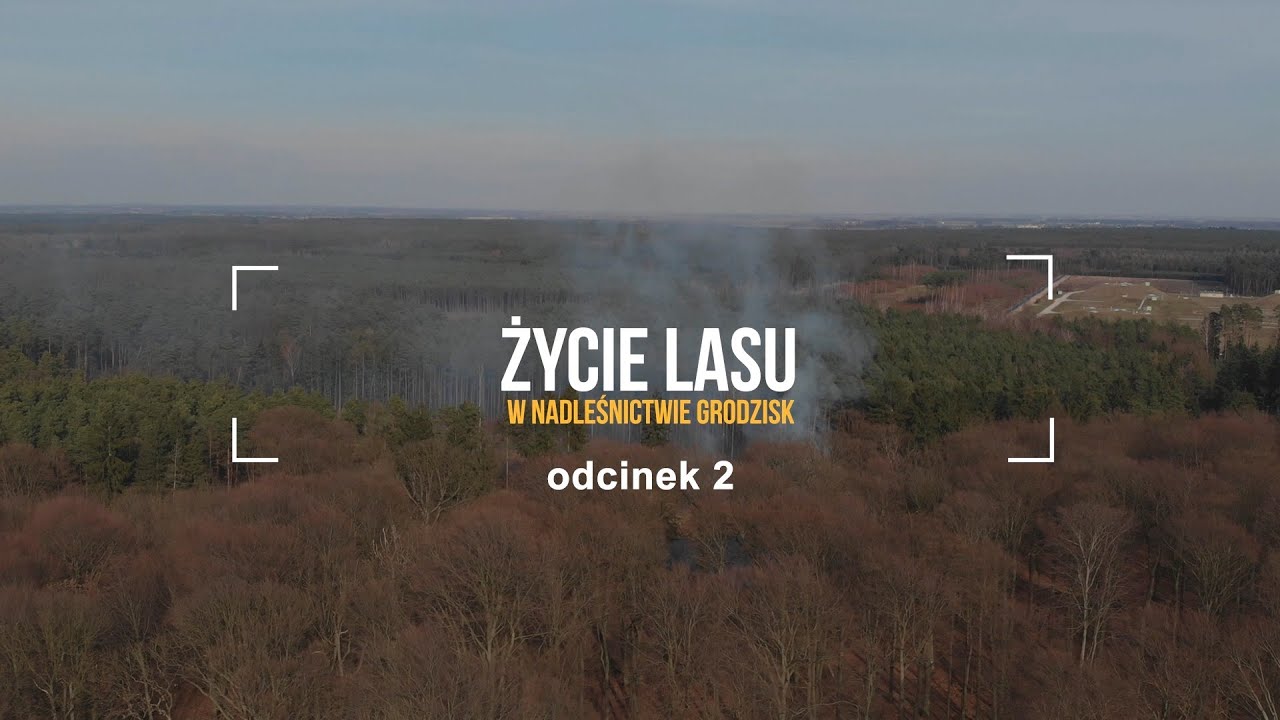 Życie Lasu odc. 2 