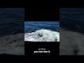 Rainbow Magic in Lake Huron's Waves #lakehuron #huron #viral #travelvlog #canada #canadavlogs #solo