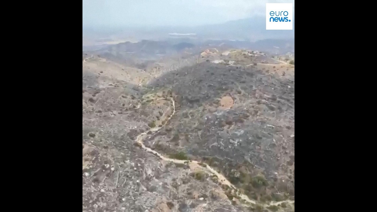 Firefighting efforts continue in Almeria region battling wildfires