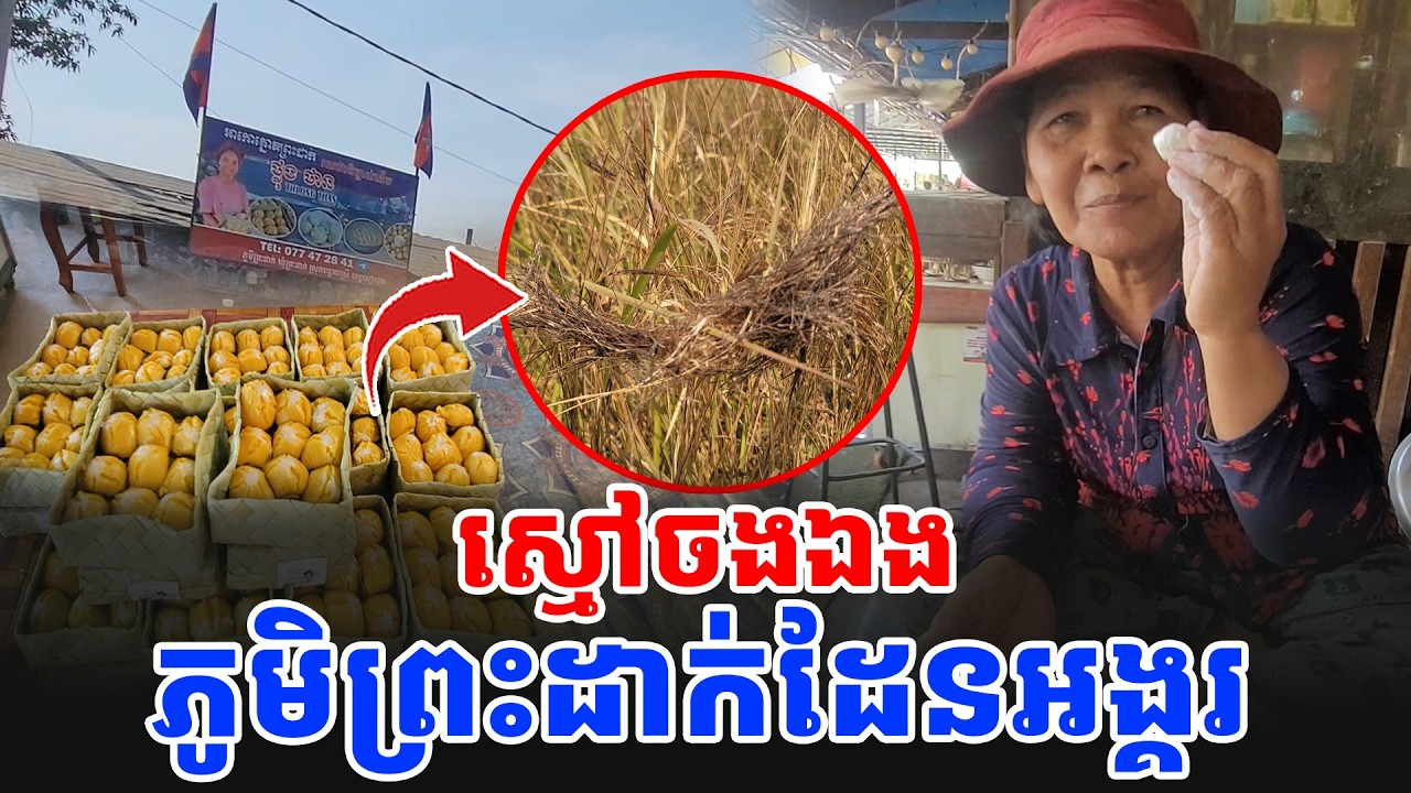 ពិតជាអស្ចារ្យ ស្មៅចងឯង ភូមិព្រះដាក់ ខេត្តសៀមរាប [ អាថ័ន-ATHOAN TV ]