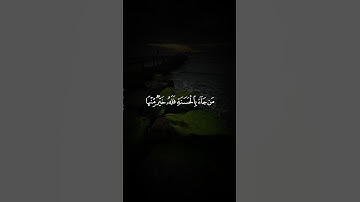 تلاوة جميلة بصوت الشيخ عبدالله الموسي#سورة_القصص #quran #اكسبلور #shots #عبدالله_الموسى #قرآن