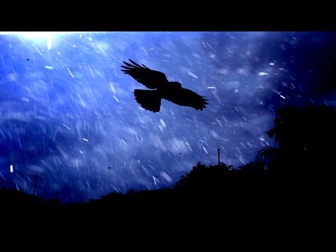 Feel No Pain - Sky Burial (lyric video UNCENSORED)