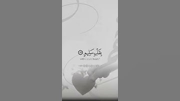 رعد الكردي ولاتخزني يوم يبعثون | القرآن الكريم سورة الشعراء 💜🍂