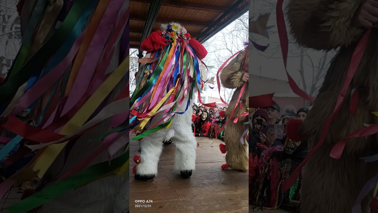 Capra Glodenii Gândului 2021 2022