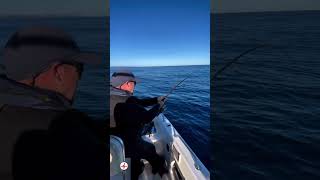 Pêche Au Gros 1 Minute De Tension Pure