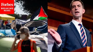 'They Don't Have A Right To Build Little Gazas': Tom Cotton Slams ProPalestinian Encampments