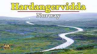 Hardangervidda Road Trip | Europe's Largest Plateau in 4K | POV Driving