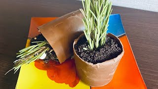 How to make Edible Flower Pot|Съедобный Горшочек|Удиви гостей