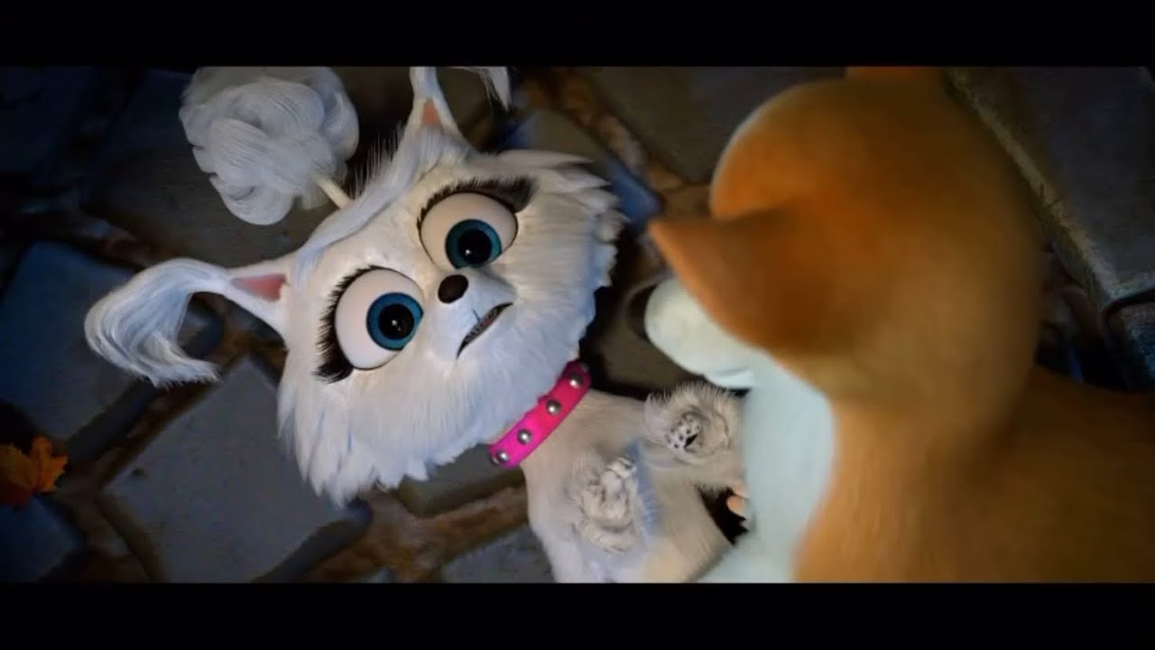 Dogs at the Opera Official Trailer Speed Up 2x