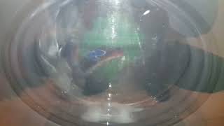 Lg Turbowash, Mix 40C Turborinse, Main Wash