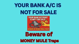 Your Bank Account Is NOT for Sale! | Beware of Money Mule Traps | Fraud Awareness video