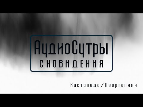 Видео: Кастанеда и существа сновидений, лазутчики и летуны / Аудиосутры