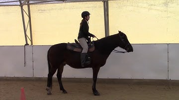 How to post the trot and learn to see your diagionals