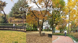Autumn in Korea vlog | cozy autumn diaries(meeting friend, autumn vibes, cafe, foot sole park)