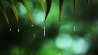 Cover by Kayla (Studio Version) - Tak Ingin Usai