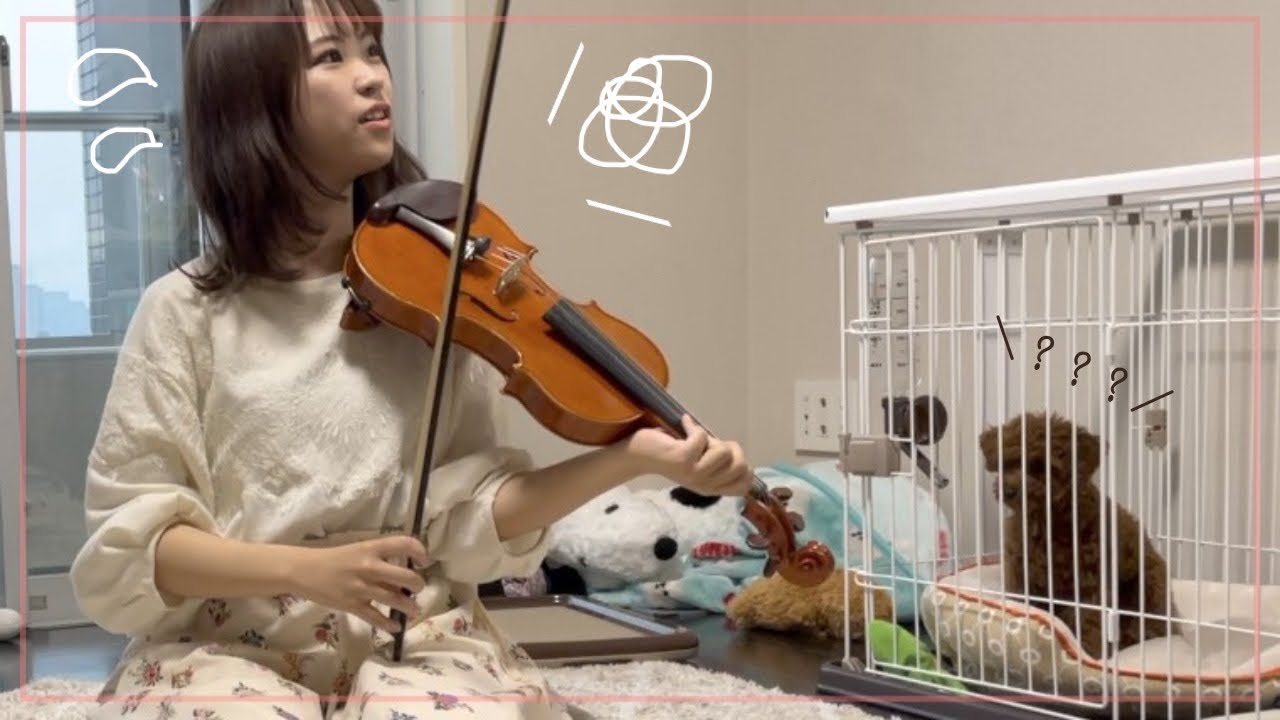 自分の楽器はどれ？プロヴァイオリニストなら当てて当然！？ヴァイオリン3本聴き比べ〜