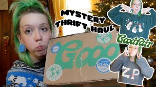 Mystery Thrift Haul? | Christmas&amp;Crew Necks-GoodFair