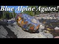 Blue Agates in the Mountains! Hunting an Alpine Stream for Blue Agate &amp; Chalcedony!