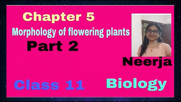 Biology ,class 11 , chapter 5 , Morphology of flowering plants, part 2/3 .by Neerja, with MCQ test