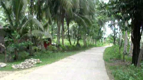 DSCF8973