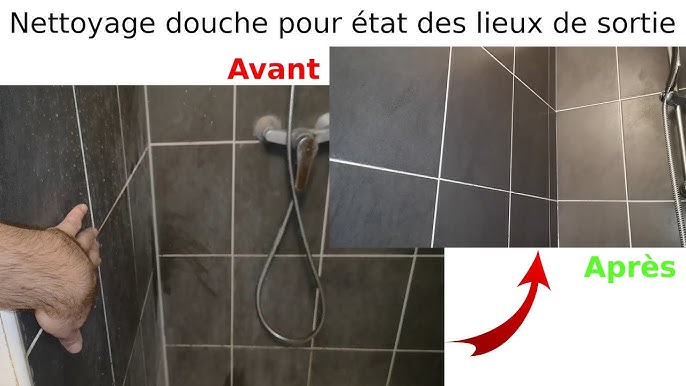 Nettoyer le tartre sur les douches GROHE - Notre Maison RT2012 par Trecobat