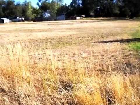 1400 Block Bench Blvd, Billings, MT home video tour