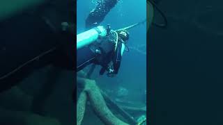 Unique Diving Experience in Lake Dudu, Dominican republic